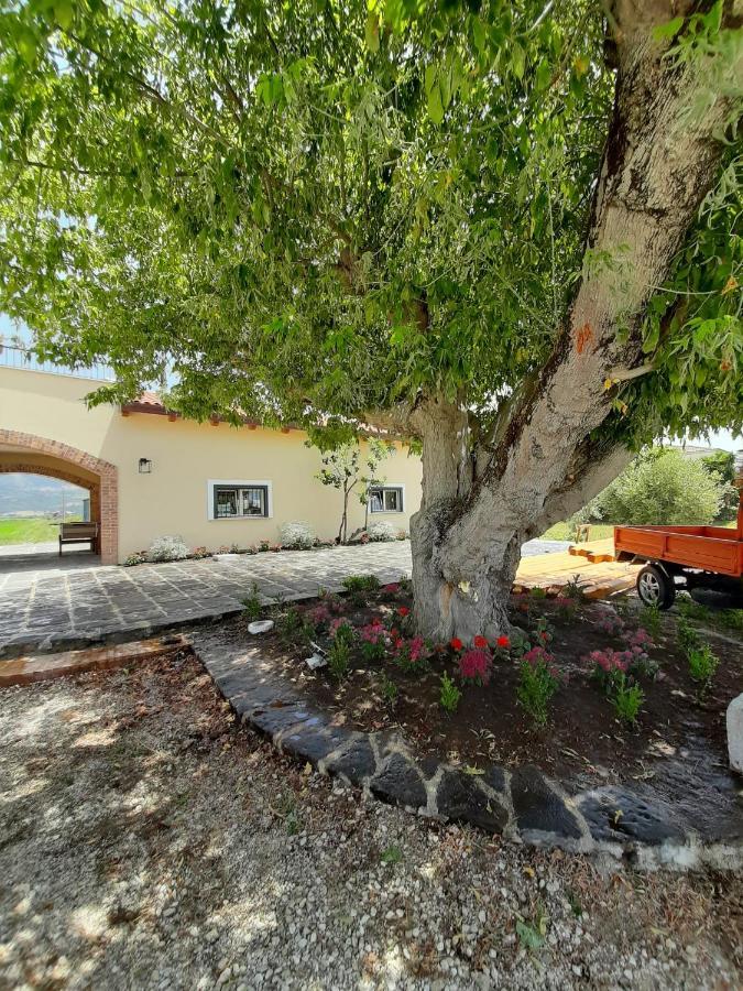 B&B Tenuta San Michele 卡帕乔-帕埃斯图姆 外观 照片